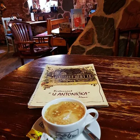 U Antonickova Pramene Guest house Marianske Lazne